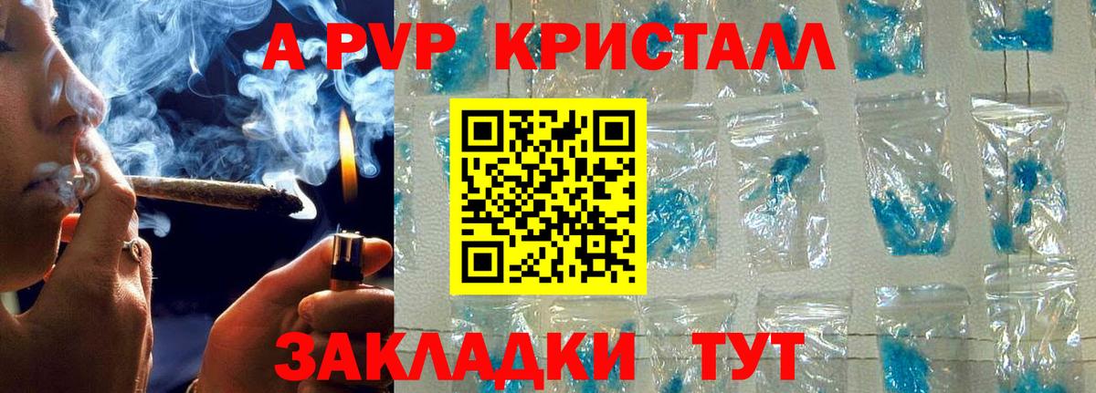 Alfa_PVP СК КРИС Калач-на-Дону