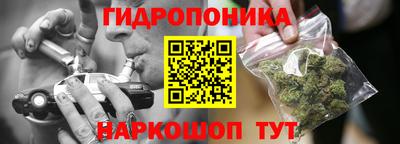 PSILOCYBIN Кунгур