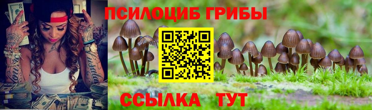 Калач-на-Дону  Псилоцибиновые грибы Cubensis  Вход с VPN  Галлюциногенные грибы мухоморы 